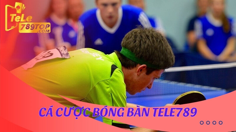 Cá cược bóng bàn Tele789 là hình thức hấp dẫn