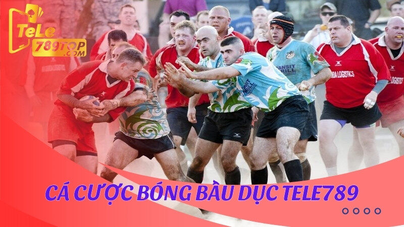 Cá cược Bóng Bầu Dục Tele789 được nhiều bet thủ yêu thích