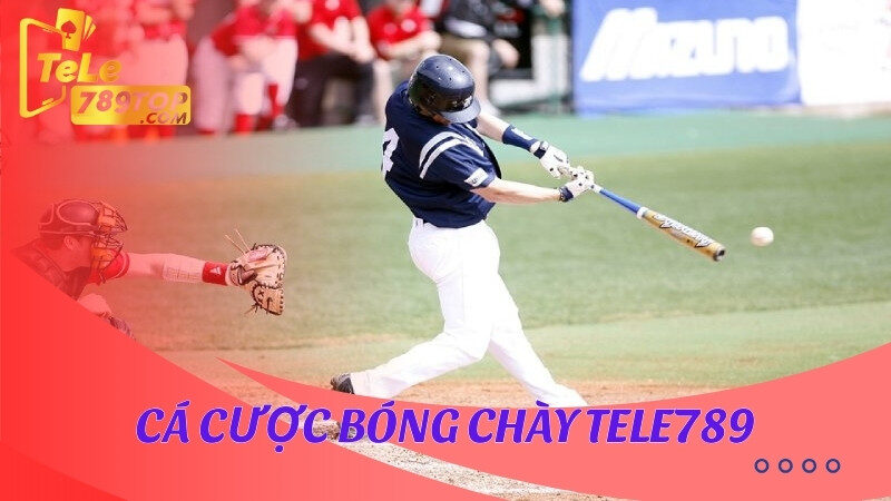 Cá cược bóng chày Tele789 là gì?