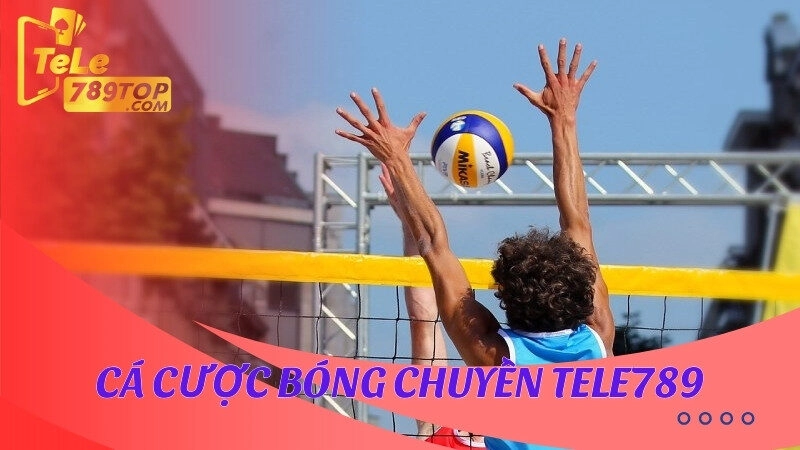 Cá cược bóng chuyền Tele789