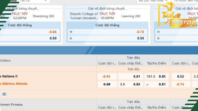 Các kèo bóng chuyền tại nhà cái trực tuyến