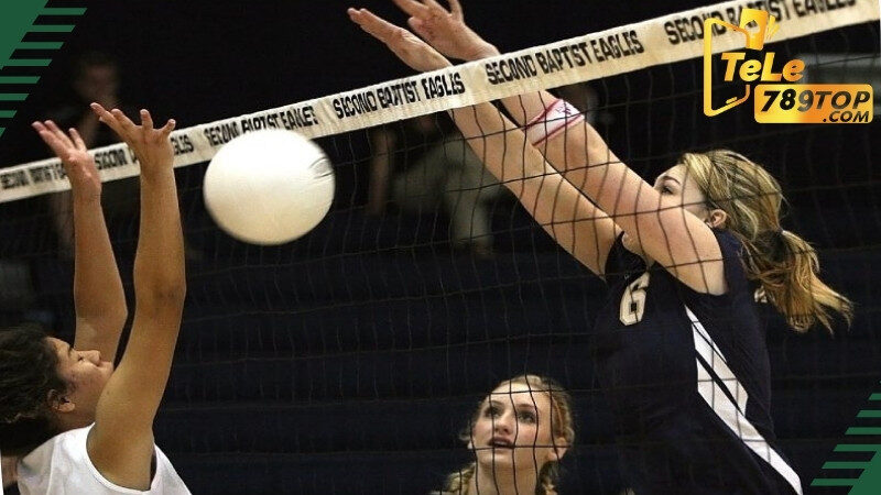 Tìm hiểu về luật chơi cá độ bóng chuyền tại nhà cái Tele789